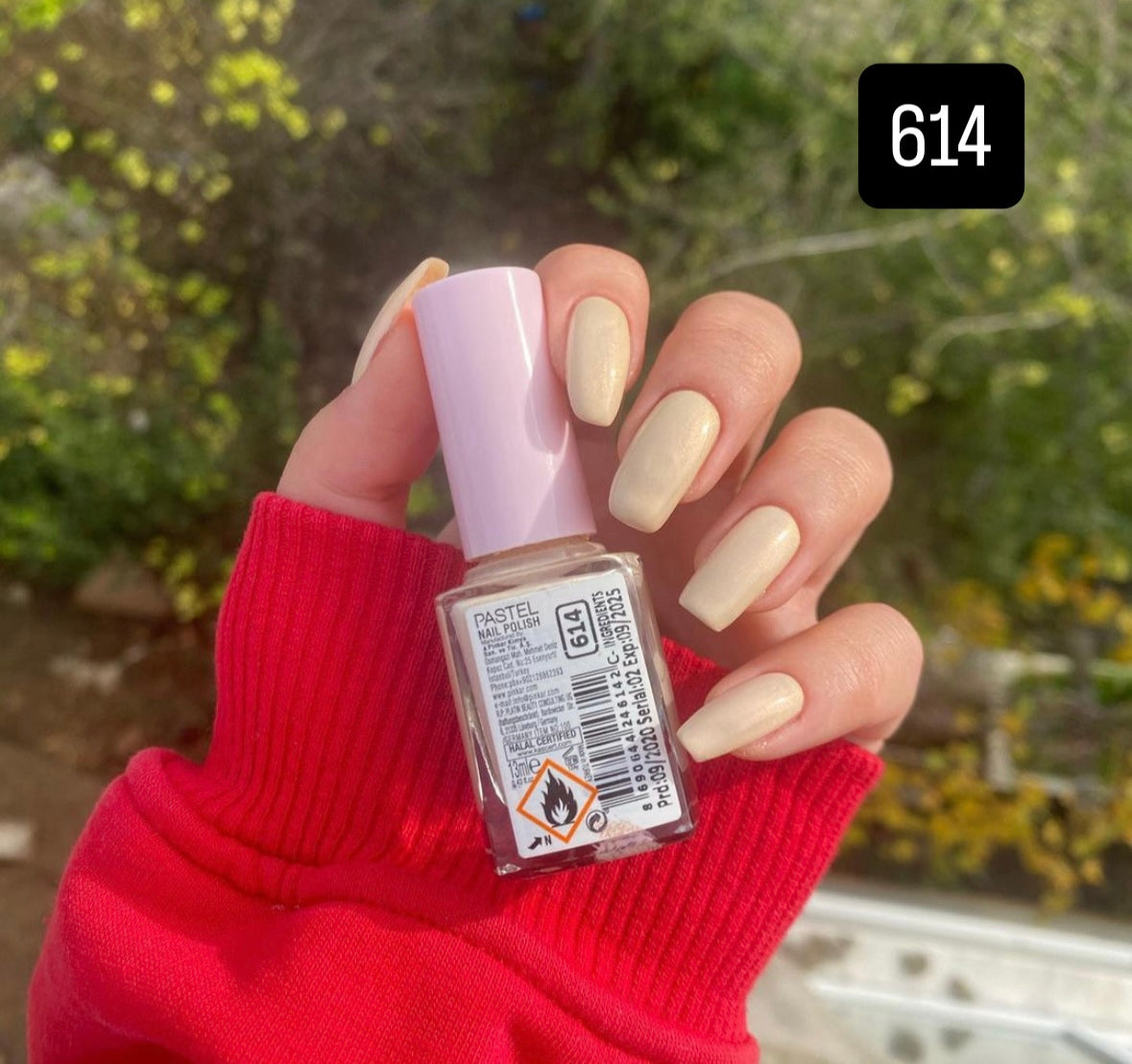 Pastel Nail Polish-614