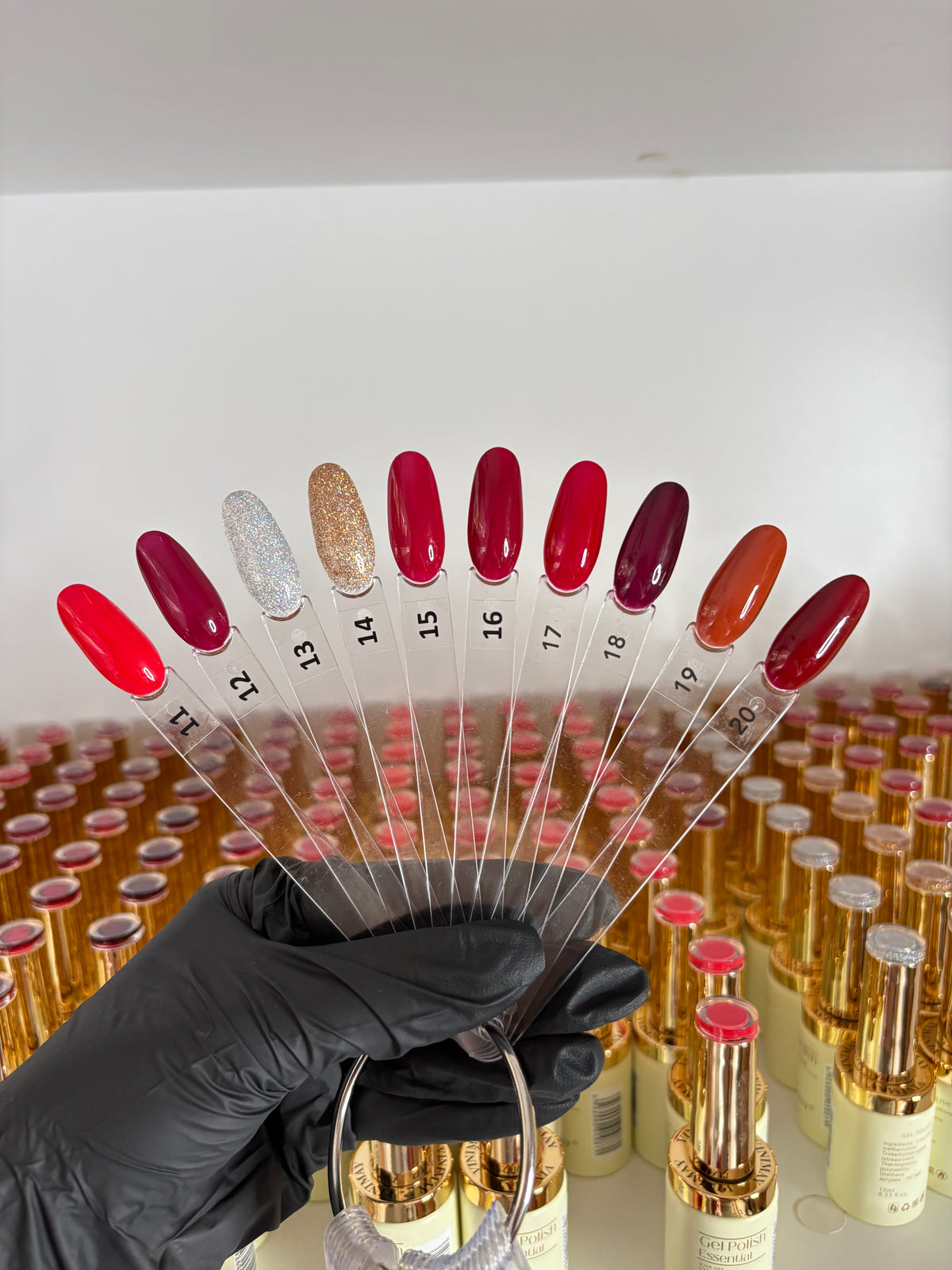 VINIMAY RED New Collection 2027
